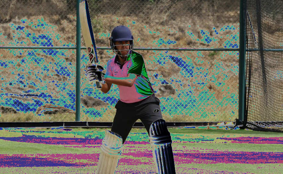 The Umpire's Call Gap: When Replay Becomes Probability, Not Law, in Asian Cricket